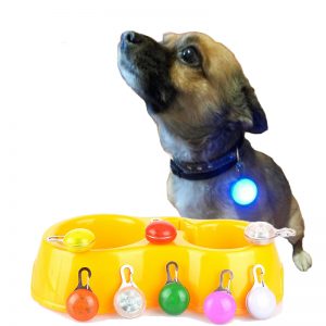 LED Flashlight for Pet Collar
