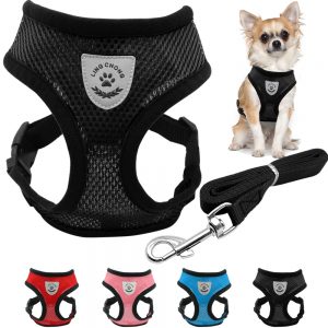 Breathable Small Dog Harness & Leash