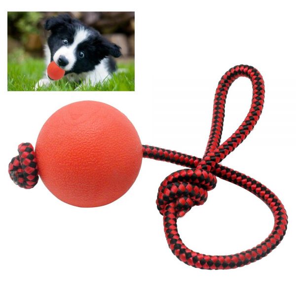 Dog Toys - Dog Rubber Ball On Rope