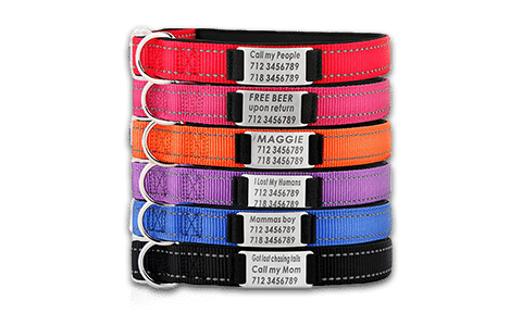 Custom Pet Collars - Dog Collars - Cat Collars