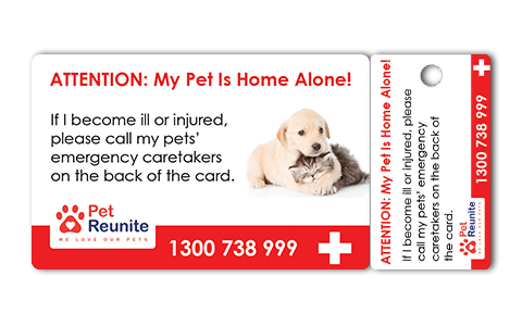 Pet Net ID In Case Of Emergency Card