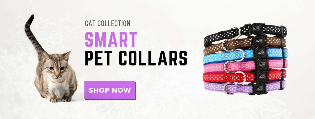 cat-collars-banner