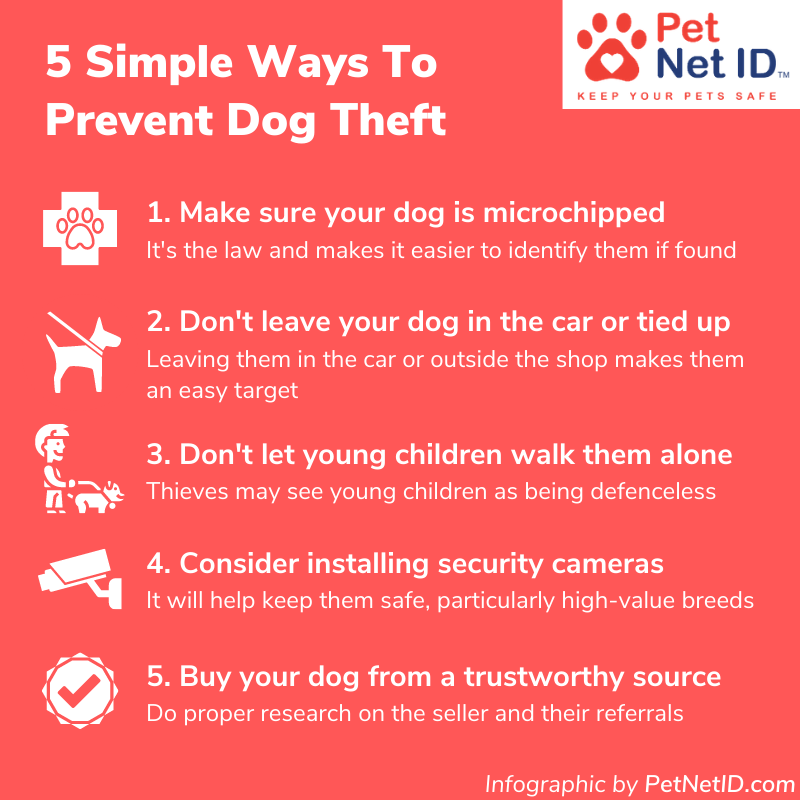 Infographic - How To Prevent Dog Theft